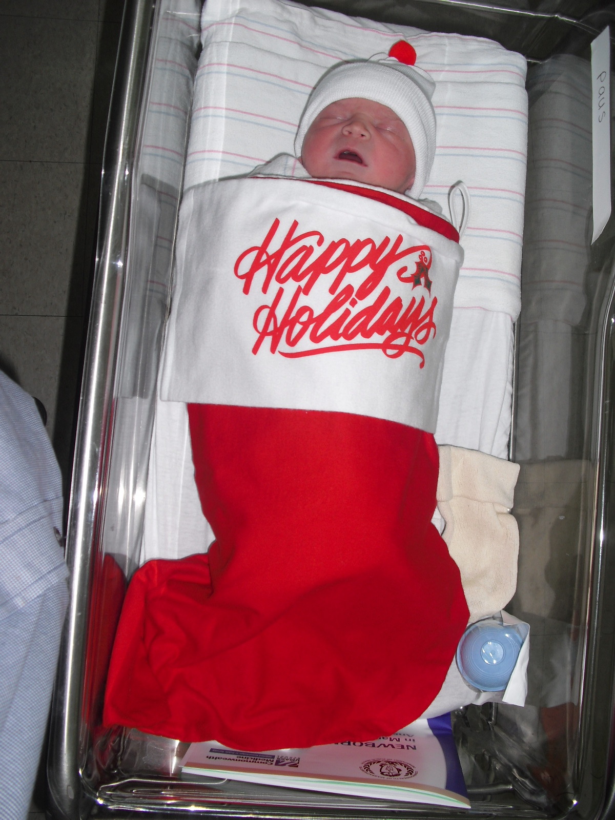 Blake in his Christmas stocking, appropriately dressed for the season.