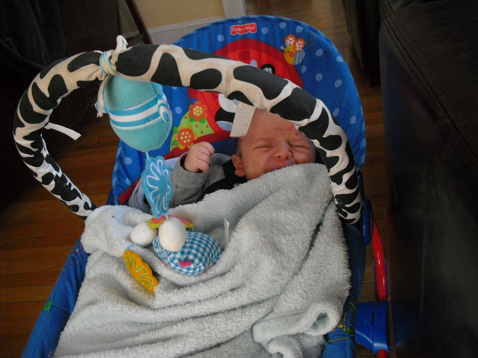 Blake on his little seat.... nap time?
